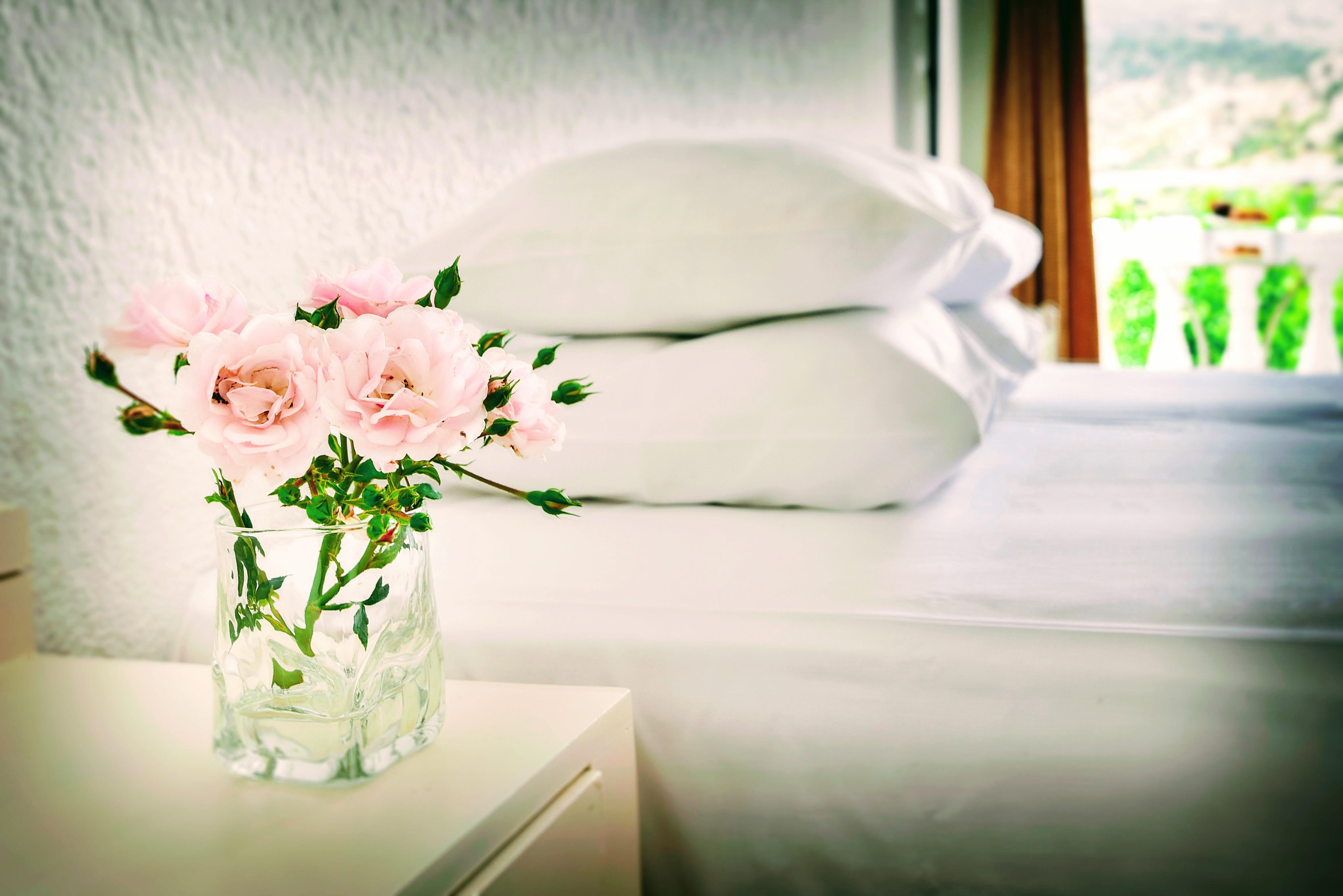 Ibiscus Hotel Malia 외부 사진